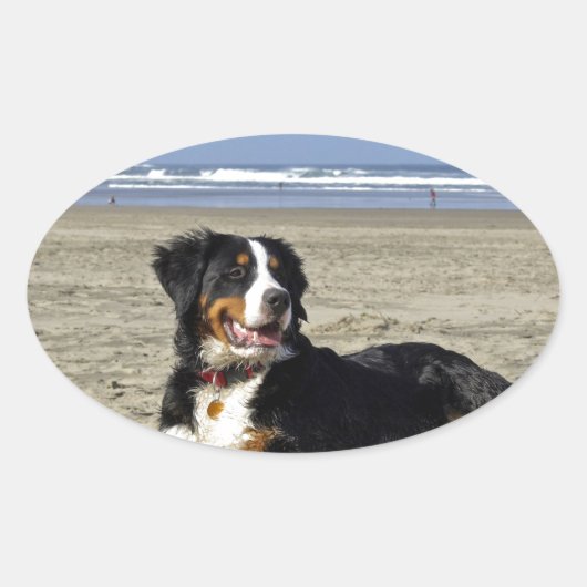 Bernese Mountain Dog Ovale Sticker (Voorkant)