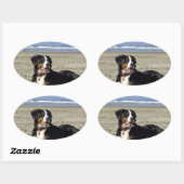 Bernese Mountain Dog Ovale Sticker (Vel)