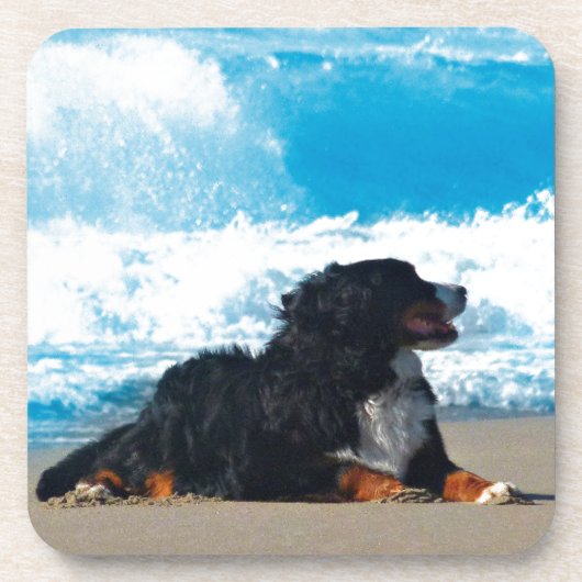 Bernese Mountain Dog over Beach Bier Onderzetter (Voorkant)