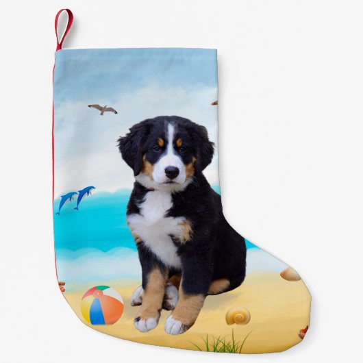 Bernese Mountain Dog over Beach Kleine Kerstsok (Voorkant)
