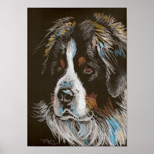 Bernese Mountain Dog Pastel Portrait Poster (Voorkant)