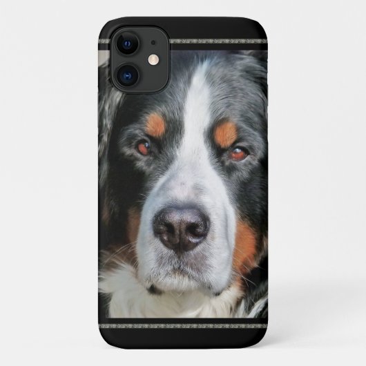 Bernese Mountain Dog Photo Afbeelding Case-Mate iPhone Case (Achterkant)