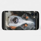 Bernese Mountain Dog Photo Afbeelding Case-Mate iPhone Case (Achterkant (horizontaal))