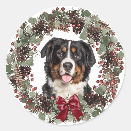 Bernese Mountain Dog Pinecone Wreath Kerstmis Ronde Sticker (Voorkant)