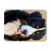 Bernese Mountain Dog Portrait Magneet (Horizontaal)