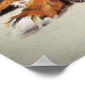 Bernese Mountain Dog Portrait Poster Print (Hoek)