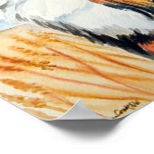 Bernese Mountain Dog Poster Print (Hoek)