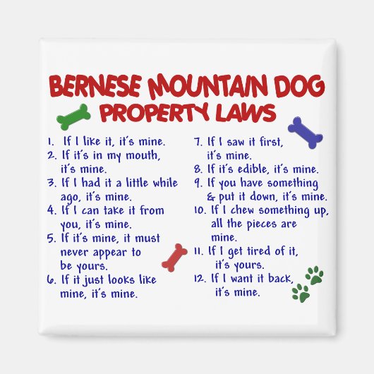 BERNESE MOUNTAIN DOG Property Laws 2 Magneet (Voorkant)