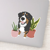 Bernese Mountain Dog Puppy and Planten