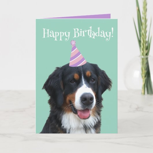 Bernese Mountain Dog Puppy Birthday Kaart (Voorkant)