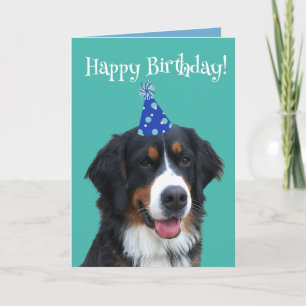 Bernese Mountain Dog Puppy Birthday Kaart