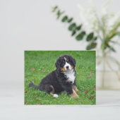 Bernese Mountain Dog Puppy Photo Briefkaart (Staand voorkant)