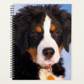 Bernese Mountain Dog Puppy Planner (Voorkant)