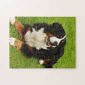 Bernese Mountain dog Puzzle Legpuzzel (Horizontaal)