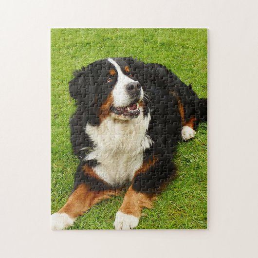 Bernese Mountain dog Puzzle Legpuzzel (Verticaal)
