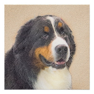 Bernese Mountain Dog-schilderij - Original Dog Art Perfect Poster