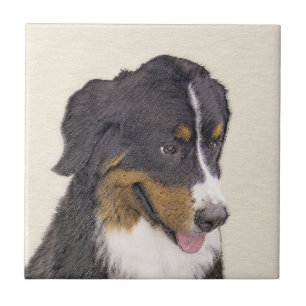 Bernese Mountain Dog-schilderij - Original Dog Art Tegeltje