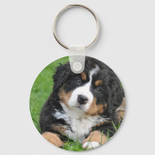Bernese Mountain Dog Sleutelhanger