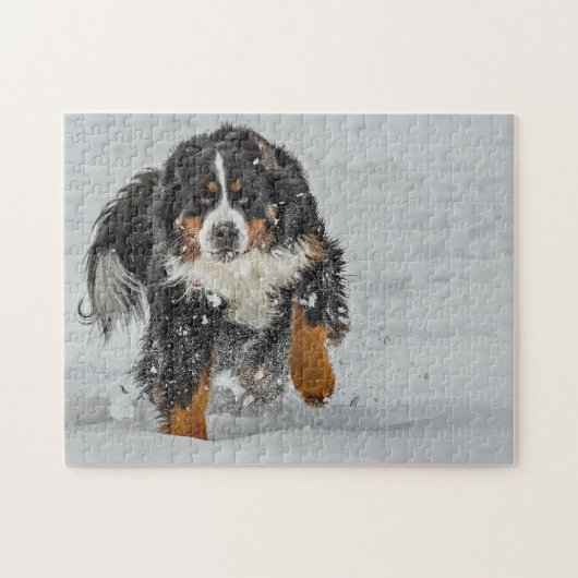 Bernese Mountain Dog Snow Foto Legpuzzel (Horizontaal)
