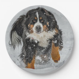 Bernese Mountain Dog Snow Foto Papieren Bordje