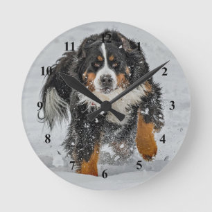 Bernese Mountain Dog Snow Photo Ronde Klok