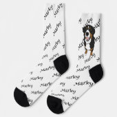 Bernese Mountain Dog Sokken (Links)