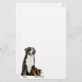 Bernese Mountain Dog Stationery Briefpapier (Voorkant / Achterkant)