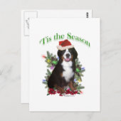 Bernese Mountain Dog "Tis Briefkaart (Voorkant / Achterkant)