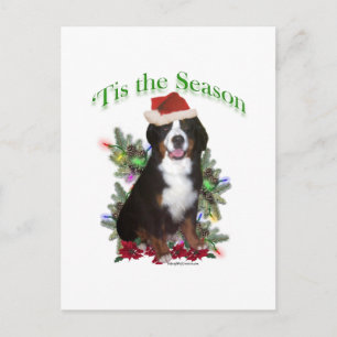 Bernese Mountain Dog "Tis Briefkaart