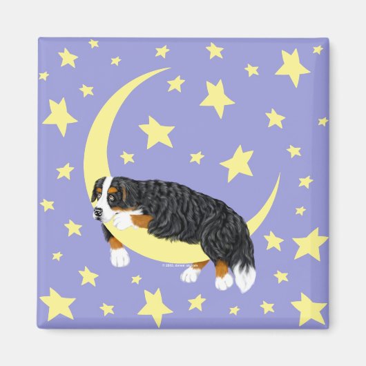 Bernese Mountain Dog Twinkle Magnet (Devant)