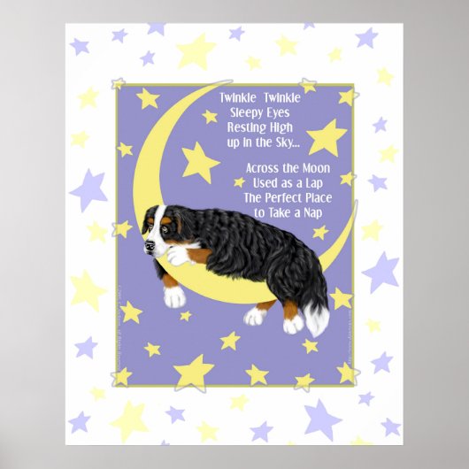 Bernese Mountain Dog Twinkle Poster (Voorkant)