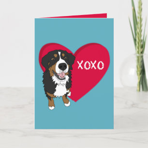 Bernese Mountain Dog Valentijnsdag Bedankkaart