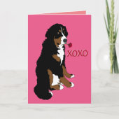 Bernese Mountain Dog Valentijnsdag Kaart (Voorkant)