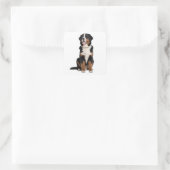 Bernese Mountain Dog Vierkante Sticker (Tas)