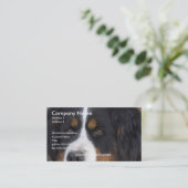 Bernese Mountain Dog Visitekaartje (Staand voorkant)