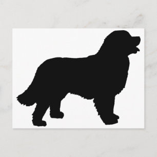 Bernese Mountain Dog (zwart silhouet) Briefkaart