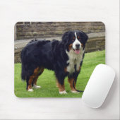 Bernese Mountain-muismat Muismat (Met muis)