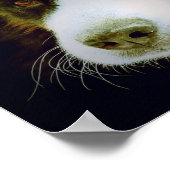 Bernese Mountian Dog Poster (Hoek)