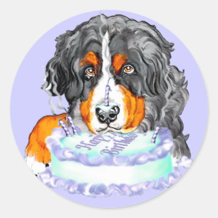Bernese Mt Dog Cake Face Birthday Ronde Sticker