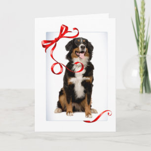 Bernese Mt. Dog-kerstkaart Feestdagen Kaart