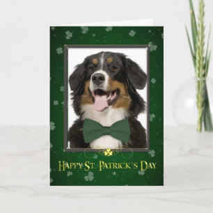 Bernese Mt. Dog St. Patrick's Day Kaart