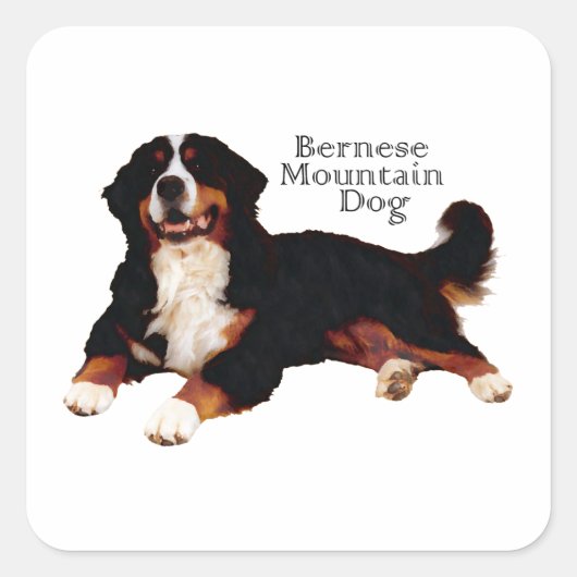 BERNESE Mt. Dog Vierkante Sticker (Voorkant)