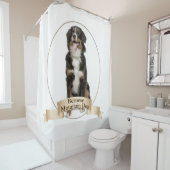 Bernese Mt. Douche de chien rideau (En situation)