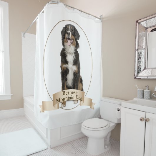 Bernese Mt. Douche de chien rideau (En situation)