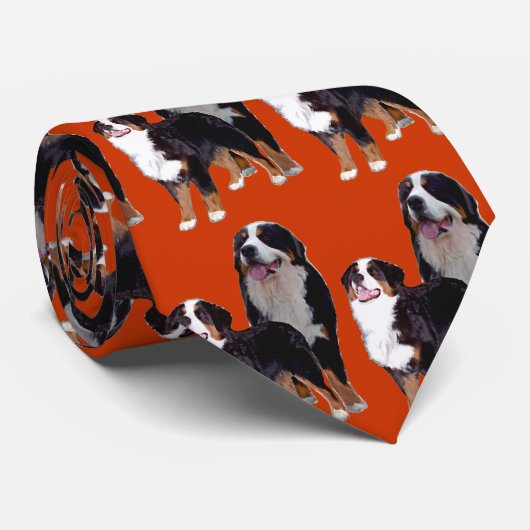 Bernese Mtn Stropdas (Opgerold)