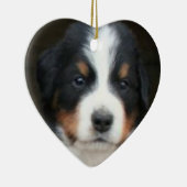 Bernese puppies ornament (Rechts)