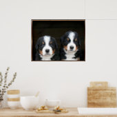 Bernese puppies poster (Keuken)