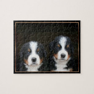 Bernese puppies puzzle legpuzzel
