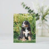 Bernese puppy briefkaart (Staand voorkant)