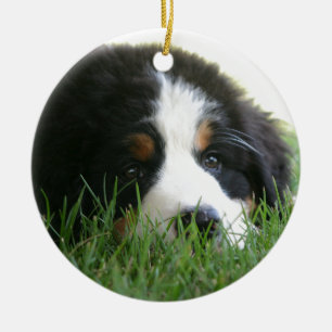 Bernese Puppy Keramisch Ornament